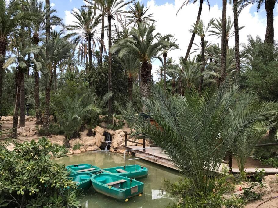 Carpediem Apart Terraza-Atico Alicante Center ภายนอก รูปภาพ